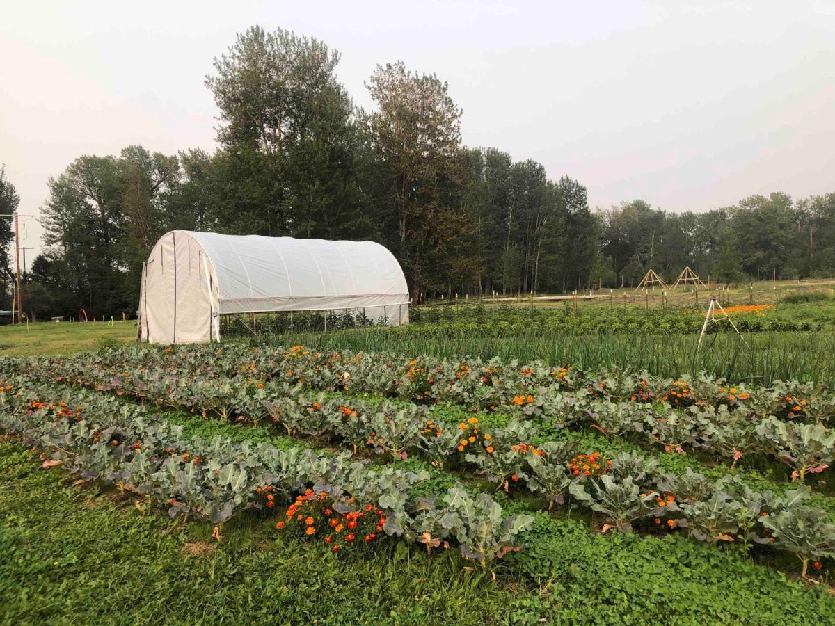 Bodhi Farms Hotel Bozeman Luaran gambar